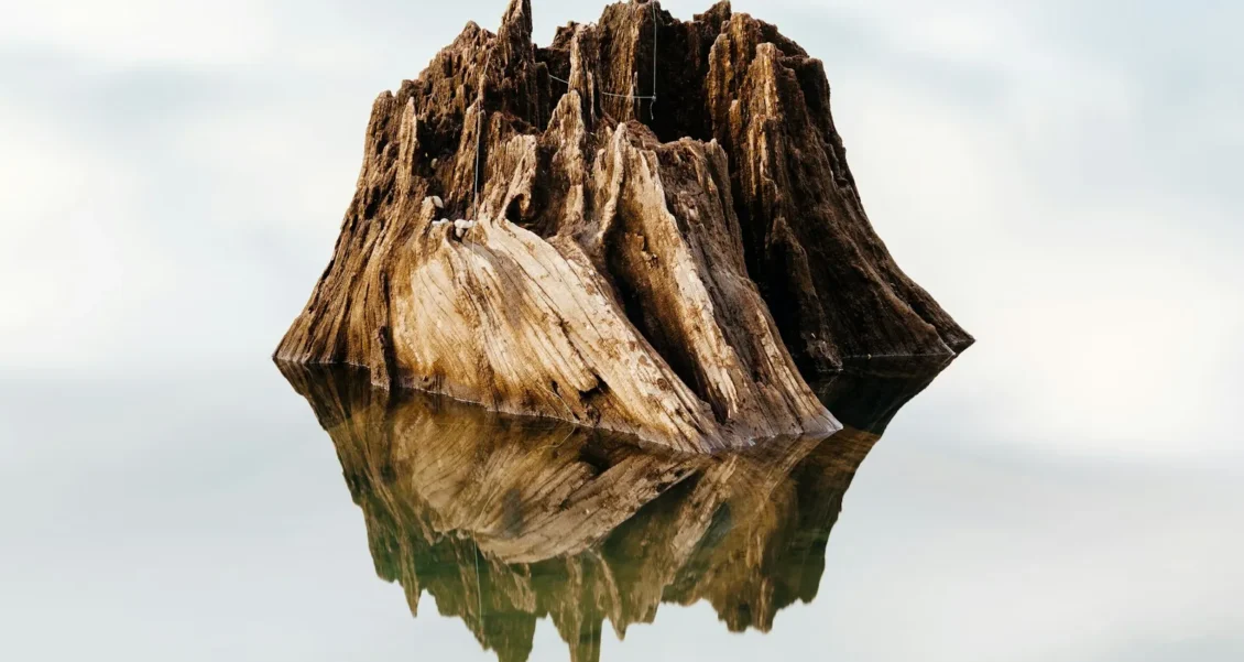 What Is “the Core” — and Why Does Every Growing Business Need One?