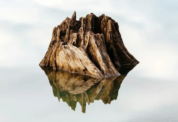 What Is “the Core” — and Why Does Every Growing Business Need One?