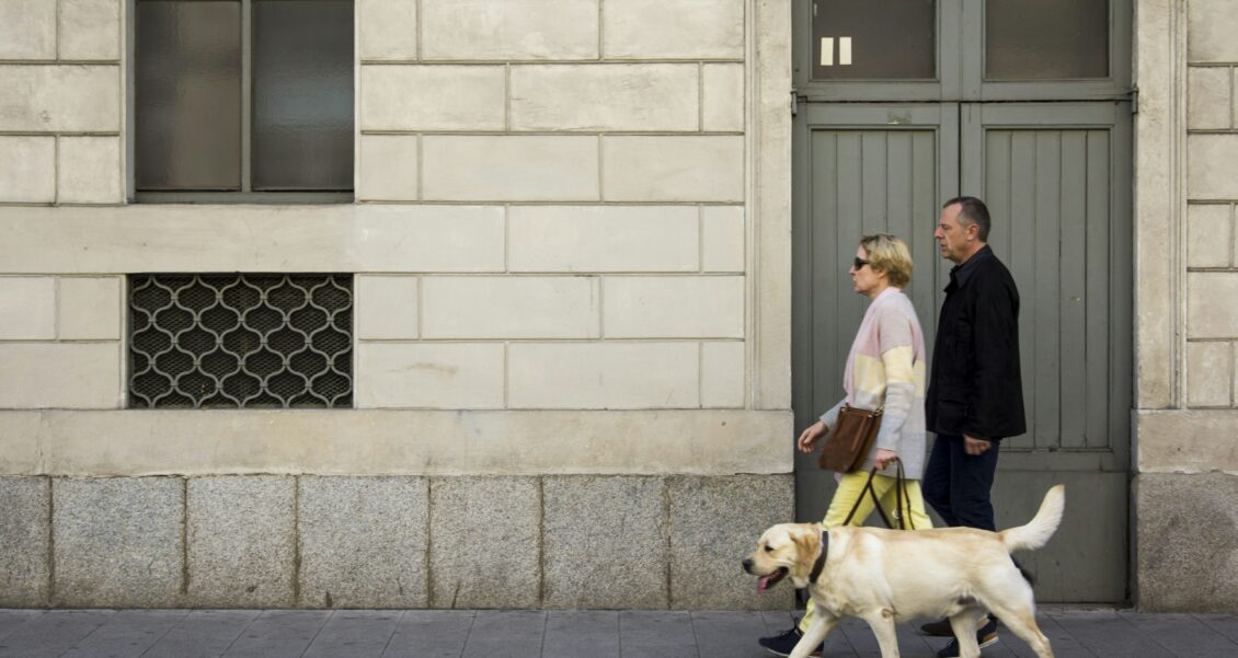 The Results Nobody Was Counting: How the WeKinnect Marketing Platform Brings a Shelter’s Hidden Results Into the Light