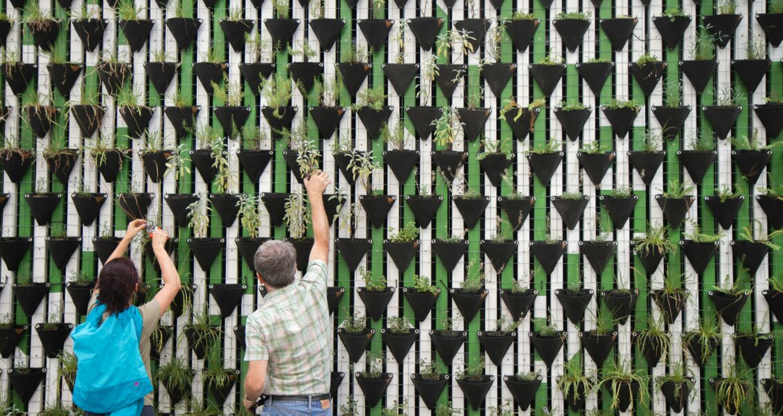 One Story, Many Channels: A Multi-Channel Gratitude Plan for a Community Foundation