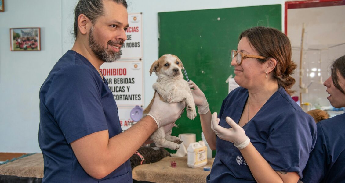 Kind and Careful: How a Veterinary Clinic Can Use AI Without Losing Its Warmth
