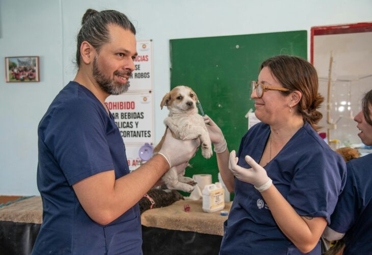 Kind and Careful: How a Veterinary Clinic Can Use AI Without Losing Its Warmth