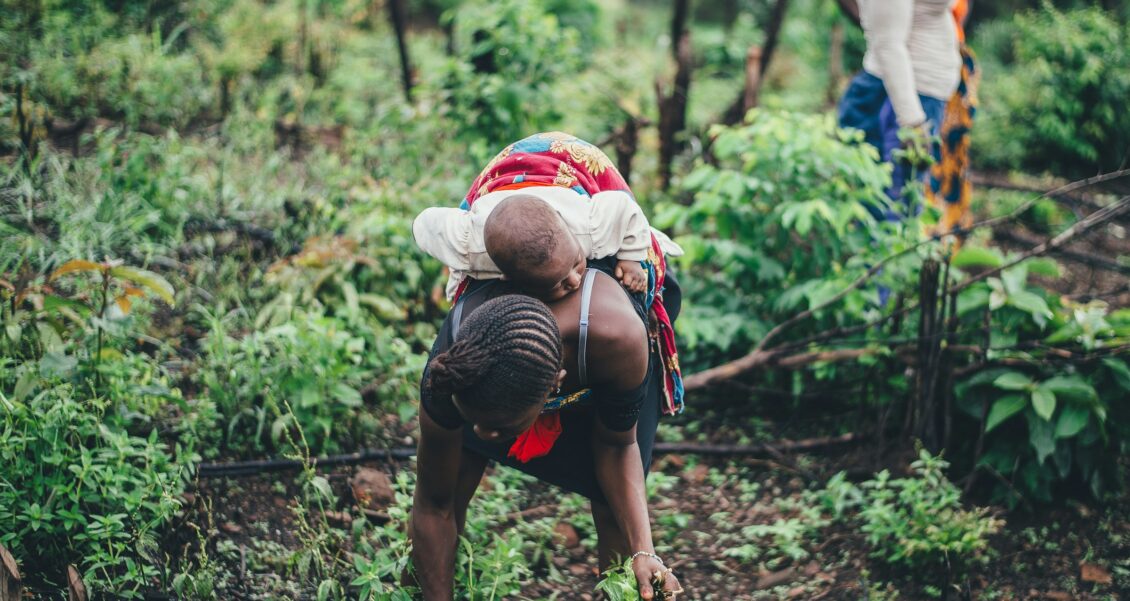 Plan Next Year From What This Year Already Showed You: How a Family Greenhouse Uses One Platform to Decide What Comes Next