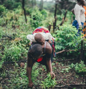 Plan Next Year From What This Year Already Showed You: How a Family Greenhouse Uses One Platform to Decide What Comes Next