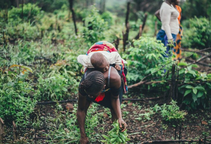 Plan Next Year From What This Year Already Showed You: How a Family Greenhouse Uses One Platform to Decide What Comes Next