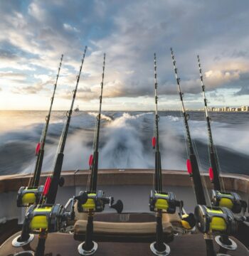 Start, Stop, Keep for Your Marketing Plan: Why a Family Fishing Charter Needs a Plan That Bends With the Season