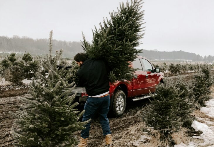 A Quiet Thank-You on Thanksgiving: Local Search Notes for a Family Christmas Tree Farm