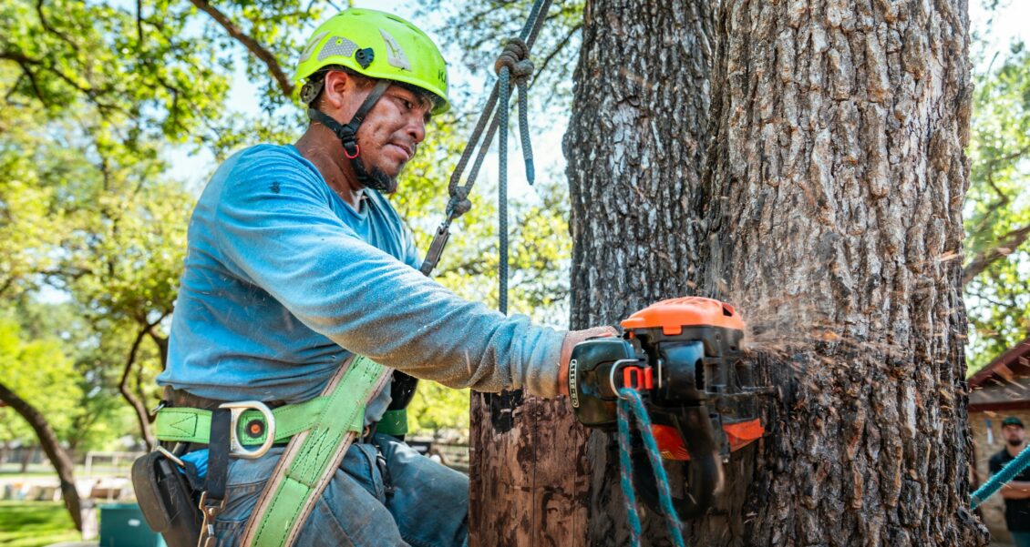 Start, Stop, Keep for Your Marketing Platform: How a Family Tree Service Can Trade Five Logins for One Clear Picture