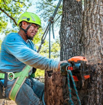 Start, Stop, Keep for Your Marketing Platform: How a Family Tree Service Can Trade Five Logins for One Clear Picture