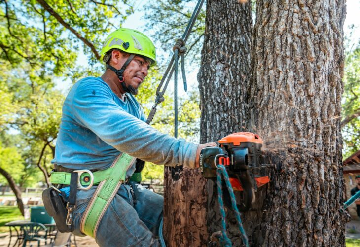 Start, Stop, Keep for Your Marketing Platform: How a Family Tree Service Can Trade Five Logins for One Clear Picture